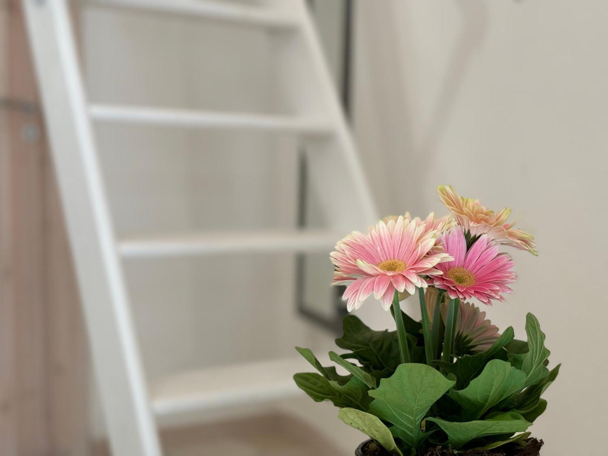 Casa Ostuni Mono Lovely מראה חיצוני תמונה