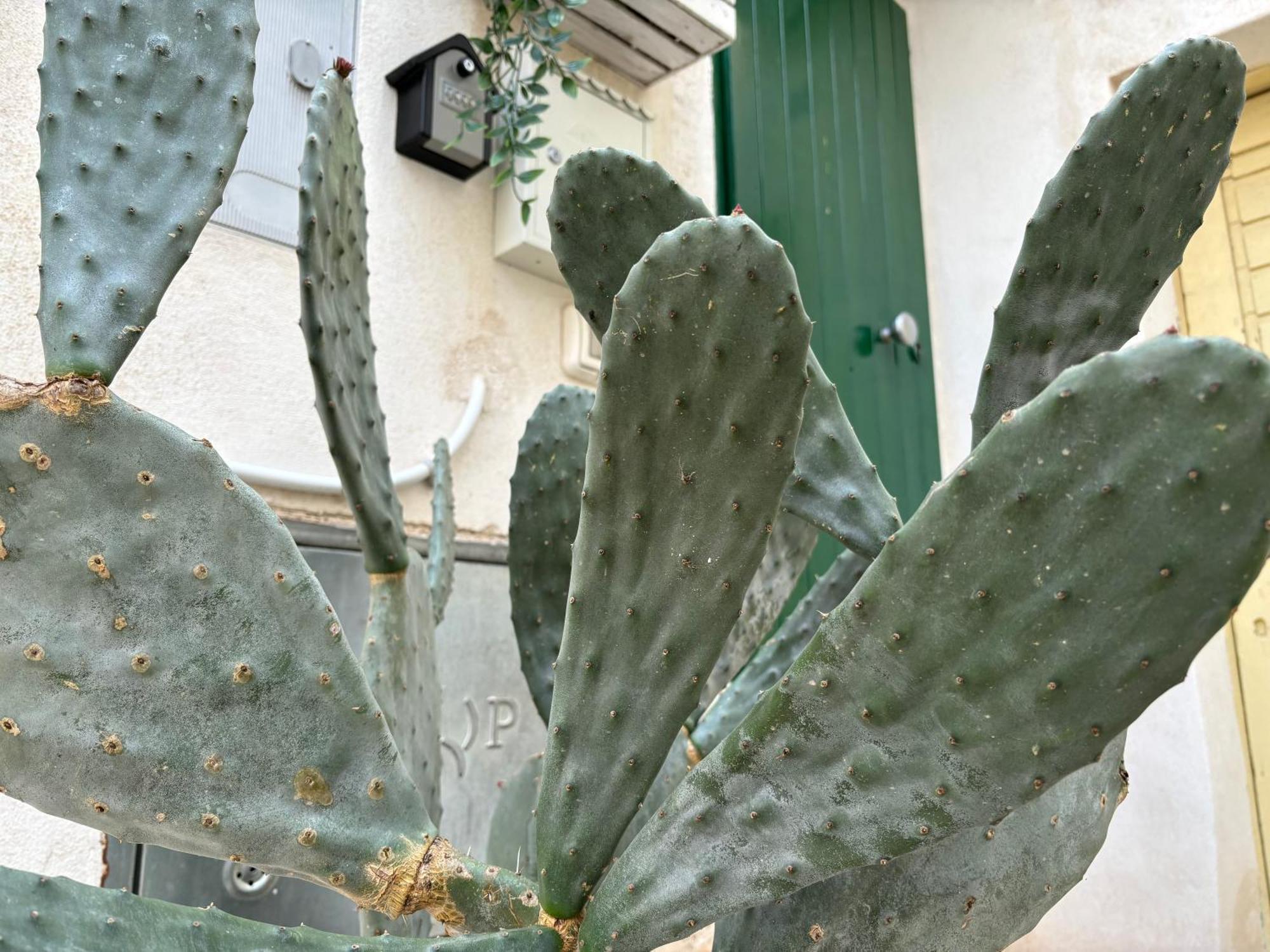 Casa Ostuni Mono Lovely מראה חיצוני תמונה